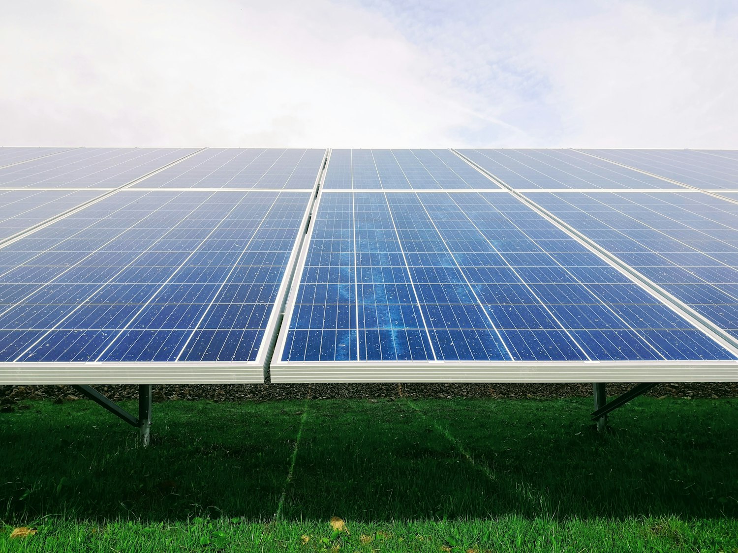 Solar panels above green grass
