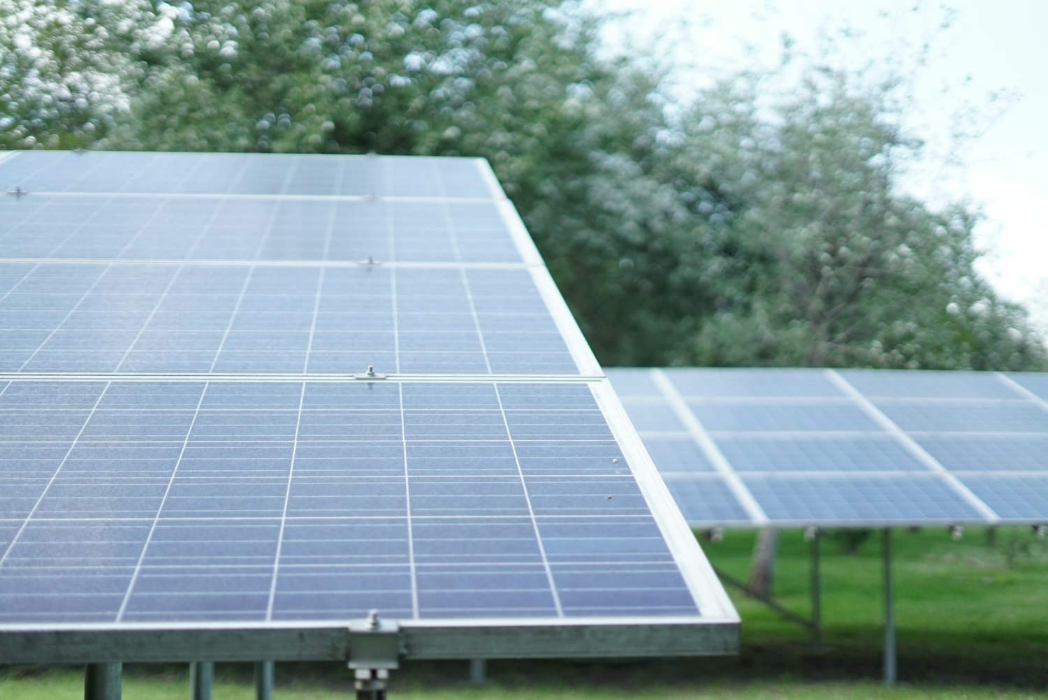 Rooftop solar panels surrounded by greenery — clean home energy by Lotus Sun Energy